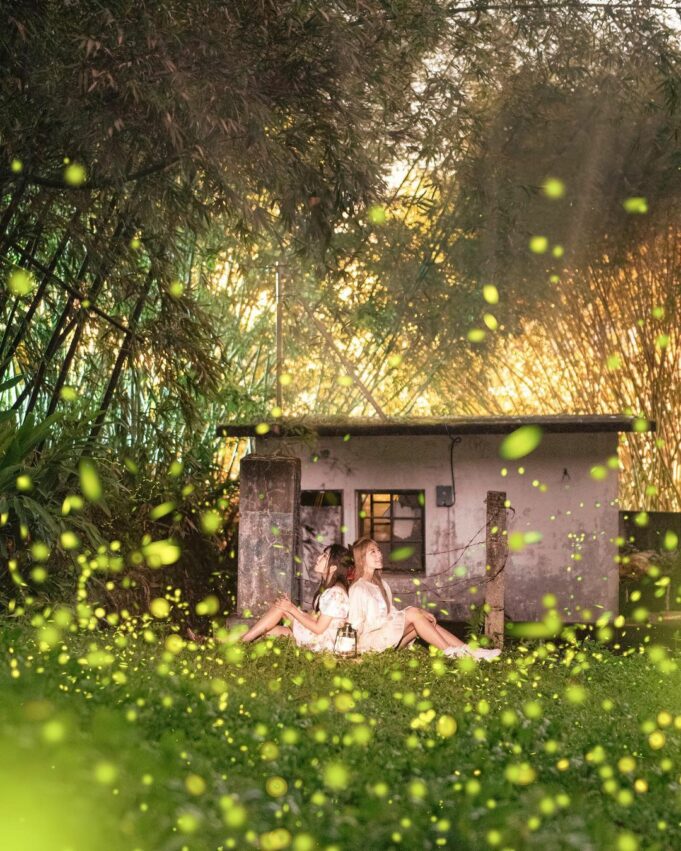 【日月潭螢火蟲季】7 大賞螢景點全攻略,時間、地點、路線、報名一次搞定 【日月潭螢火蟲季】7 大賞螢景點全攻略,時間、地點、路線、報名一次搞定