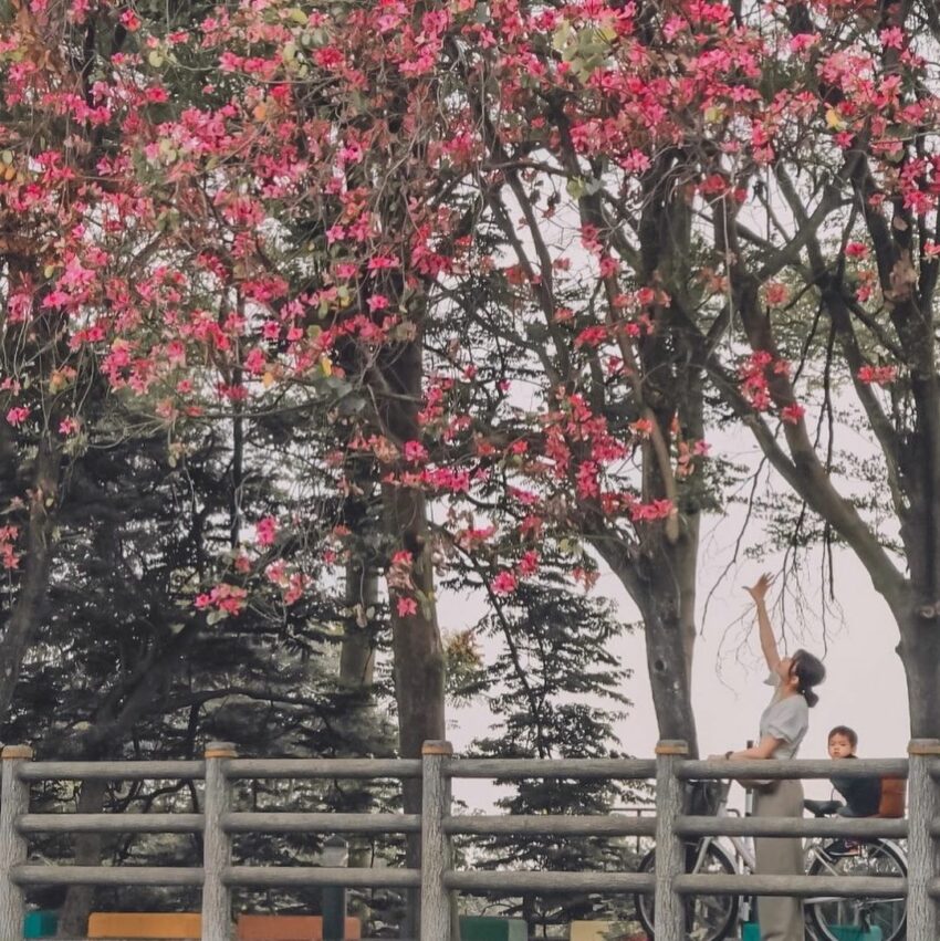 漫遊集集線｜二水觀光自行車道，騎著自行車來到這裡，耳中能聽到轟隆的滂薄水聲，看著水門引入充沛的濁水溪進入八堡圳中，不免令人遙想當年彰化先民辛勤灌溉的景象。