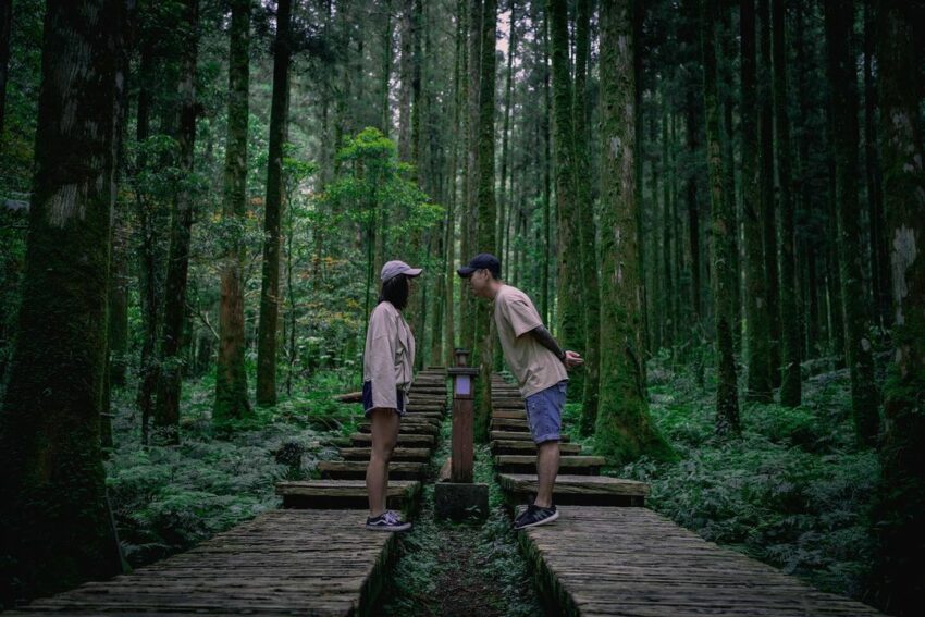 夏季避暑景點【明池國家森林遊樂區】宜蘭明池一日遊北橫公路,最佳賞景期大公開 明池國家森林遊樂區 國父百歲紀念林、蕨園