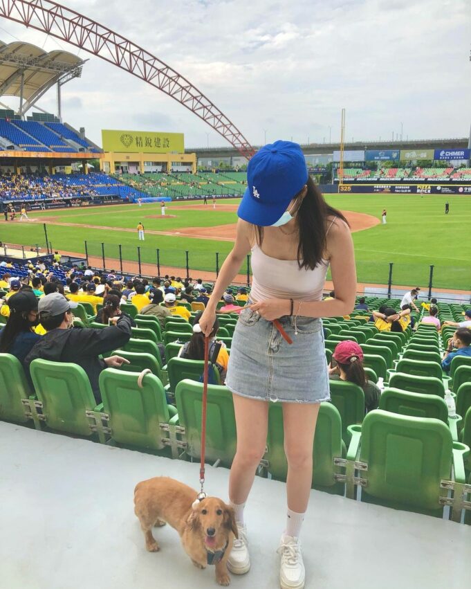 台中捷運景點｜捷運綠線這樣玩！中捷路線、票價整理、沿線景點攻略