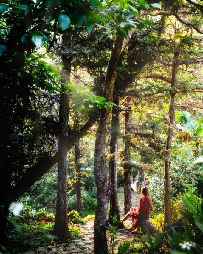 【苗栗南庄景點】不是只有老街，推薦11個南庄一日遊景點，探訪南庄私房景點