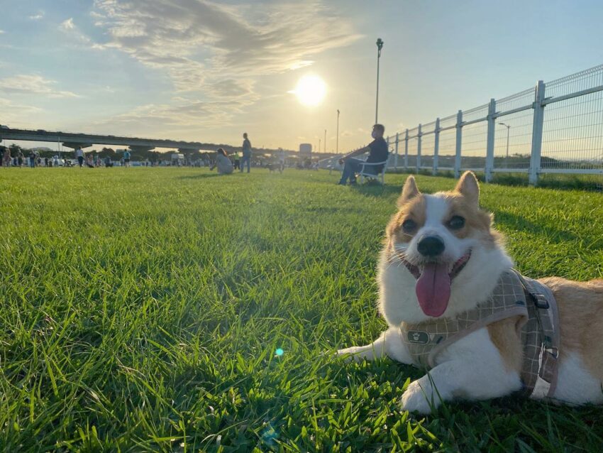 台北推薦5條河濱公園腳踏車道！騎腳踏車的超Chill自行車道路線推薦，玩遍全台北。