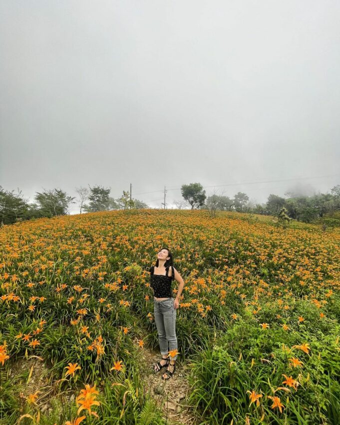 【金針花季】金針花季節來囉！精選全台金針花景點TOP10，沈浸在黃澄澄夢幻金針花海吧！