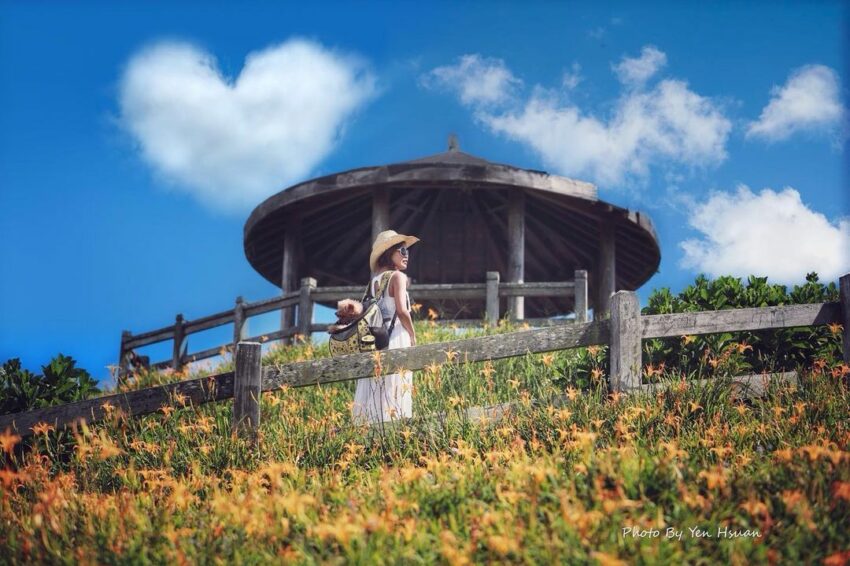 【金針花季】金針花季節來囉！精選全台金針花景點TOP10，沈浸在黃澄澄夢幻金針花海吧！