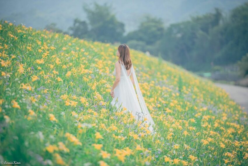 【金針花季】金針花季節來囉！精選全台金針花景點TOP10，沈浸在黃澄澄夢幻金針花海吧！