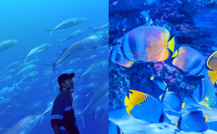 基隆海科館(海洋科技博物館)海洋劇場、八斗子漁村重現《門票、展覽、交通、附近景點》