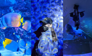 【基隆潮境智能海洋館】遊玩攻略推薦！超大水族缸合照魟魚、水母，門票優惠&交通一日遊