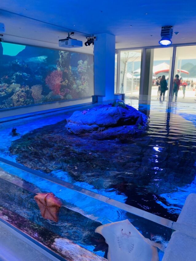 【基隆潮境智能海洋館】遊玩攻略推薦！超大水族缸合照魟魚、水母，門票優惠&交通一日遊