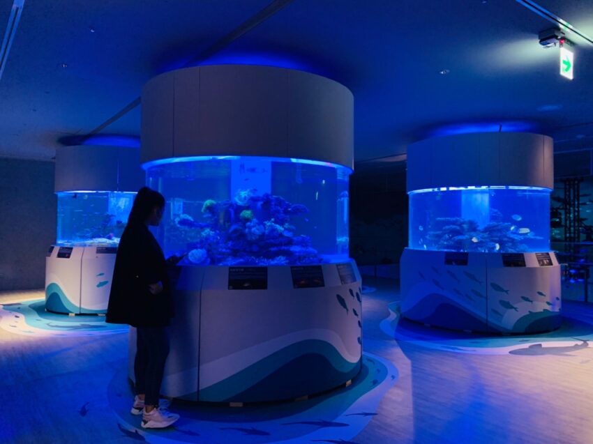 【基隆潮境智能海洋館】遊玩攻略推薦！超大水族缸合照魟魚、水母，門票優惠&交通一日遊