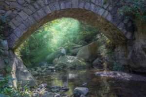 【瑞芳景點】推薦瑞芳一日遊6大秘境，走訪山海美景體驗人文歷史。