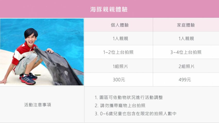 親親海豚