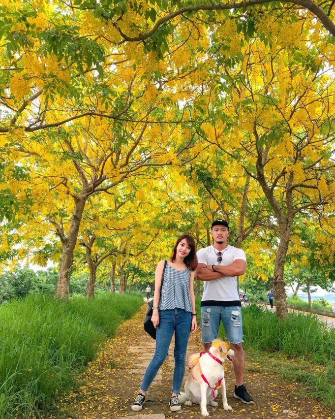 【台南約會景點】推薦10處台南情侶約會聖地!情人節、七夕安排一趟浪漫之旅吧! 【台南約會景點】推薦10處台南情侶約會聖地!情人節、七夕安排一趟浪漫之旅吧!