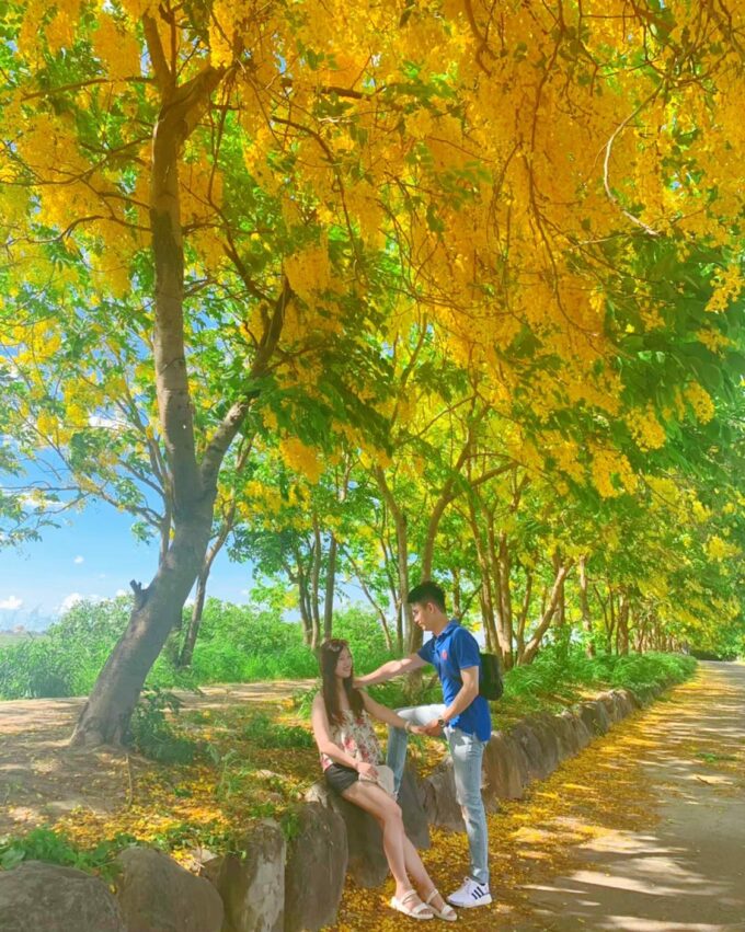 【台南約會景點】推薦10處台南情侶約會聖地!情人節、七夕安排一趟浪漫之旅吧! 【台南約會景點】推薦10處台南情侶約會聖地!情人節、七夕安排一趟浪漫之旅吧!