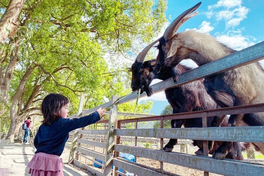 【全台休閒農場推薦】精選35座特色農場，親子農場好去處，近距離餵動物體驗