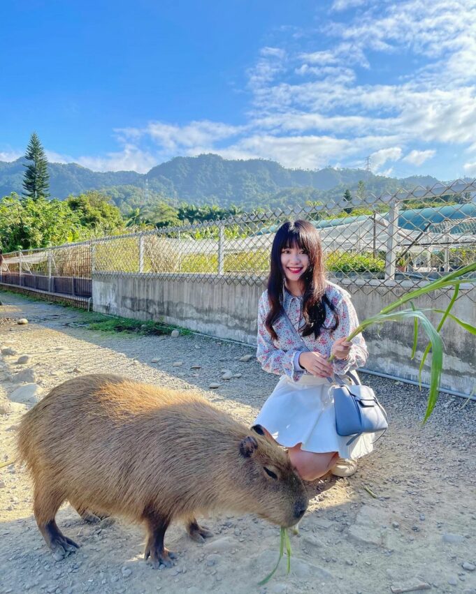 【全台休閒農場推薦】精選35座特色農場，親子農場好去處，近距離餵動物體驗