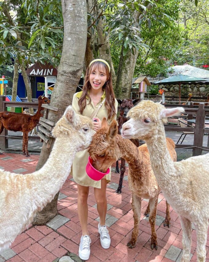 【全台休閒農場推薦】精選35座特色農場，親子農場好去處，近距離餵動物體驗