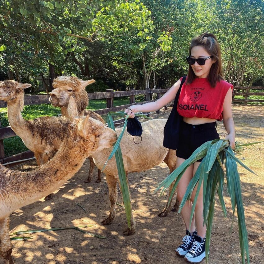 【全台休閒農場推薦】精選35座特色農場，親子農場好去處，近距離餵動物體驗