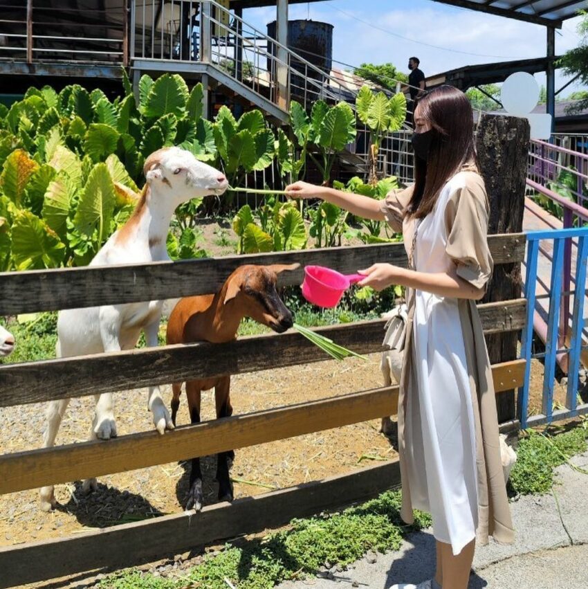 【全台休閒農場推薦】精選35座特色農場，親子農場好去處，近距離餵動物體驗