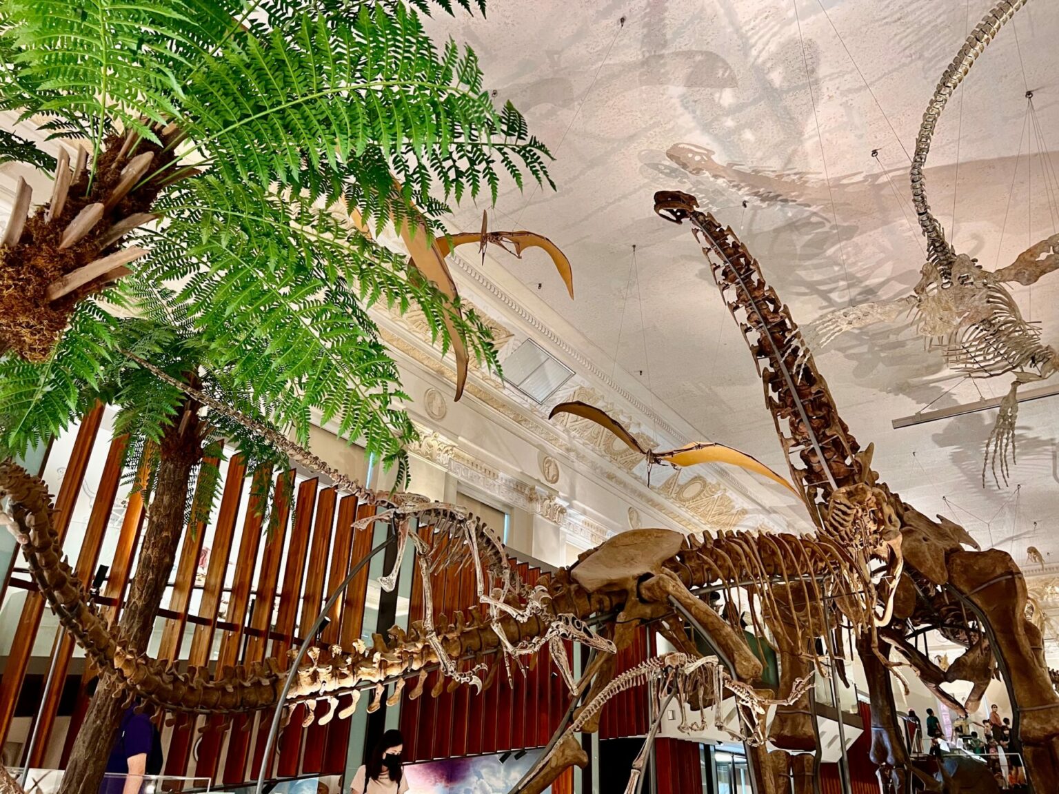 台博館恐龍展
