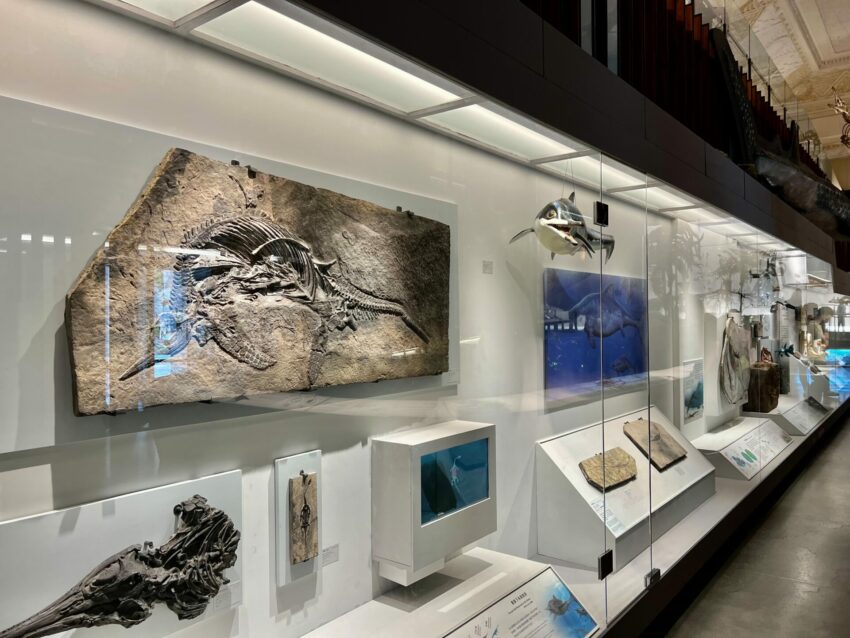 台博館恐龍展