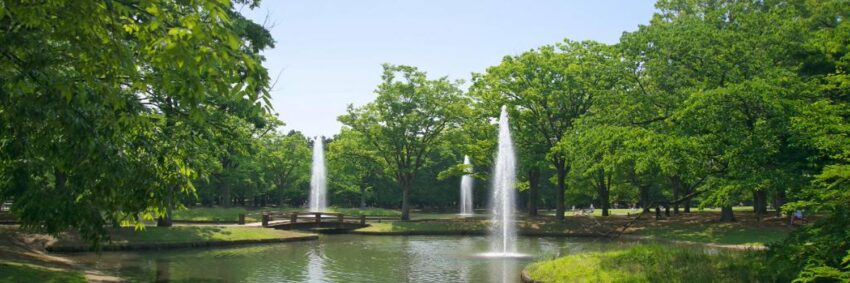 東京景點推薦｜東京自由行必去景點&一日遊行程攻略！ 