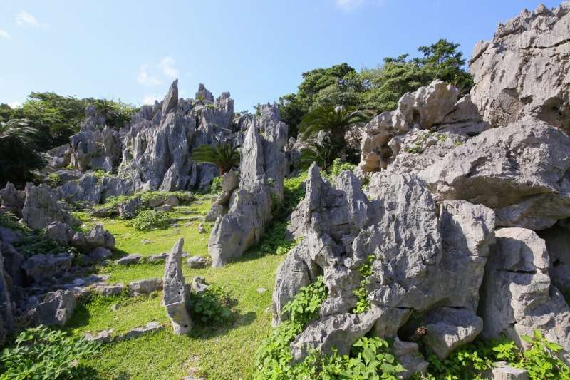 【沖繩景點推薦】25個沖繩必去景點！北中南沖繩景點地圖攻略，大石林山