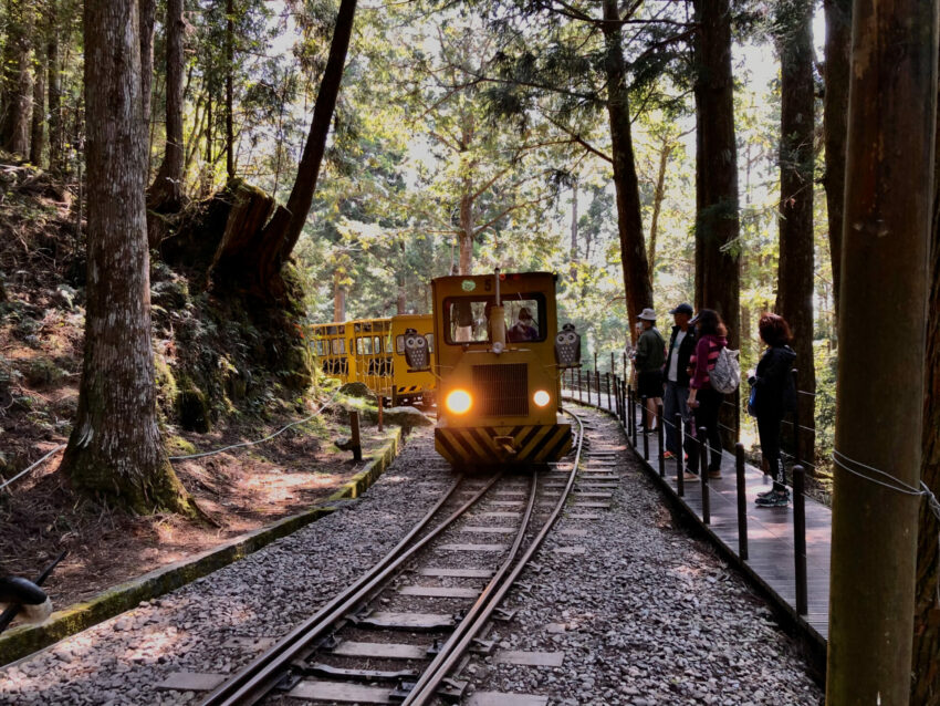 宜蘭戶外景點 宜蘭自然景點 踏青、散步 太平山國家森林公園