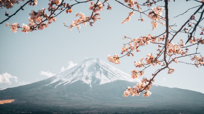 東京行程路線怎麼排、預算花費抓多少，從四天三夜到七天行程一次教你規劃！