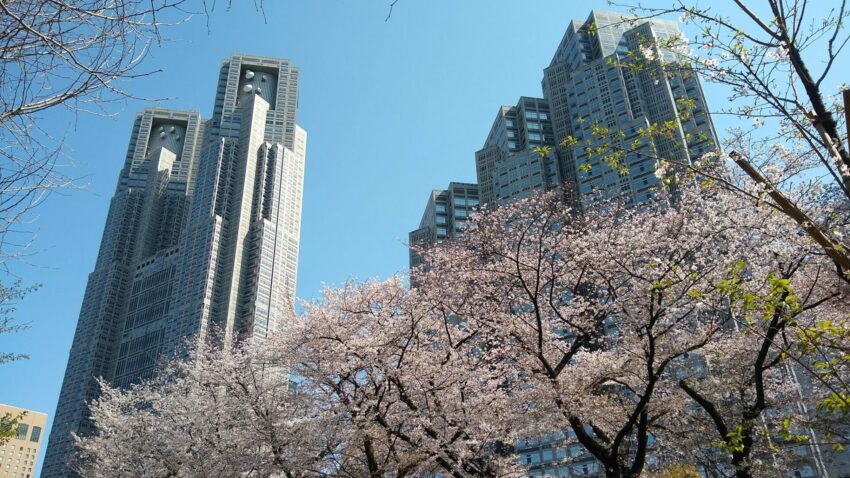 東京都廳, 東京景點