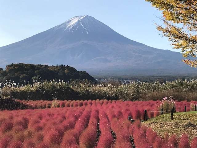 河口湖自然生活館