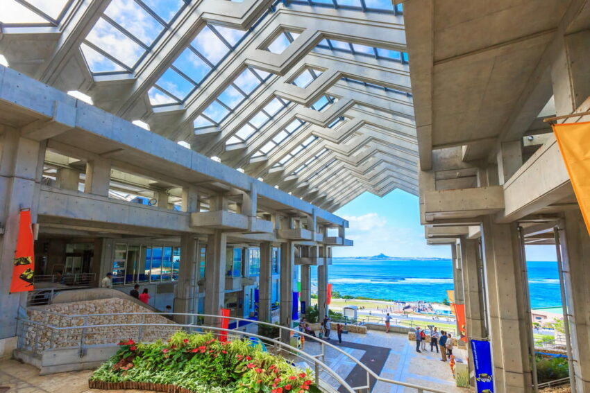 【沖繩美麗海水族館】黑潮之海鯨鯊餵食秀！門票交通＆各區亮點全攻略