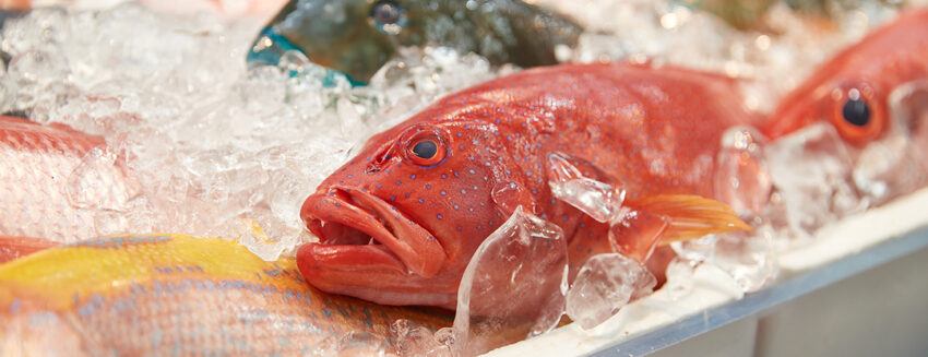 【沖繩景點推薦】25個沖繩必去景點！北中南沖繩景點地圖攻略