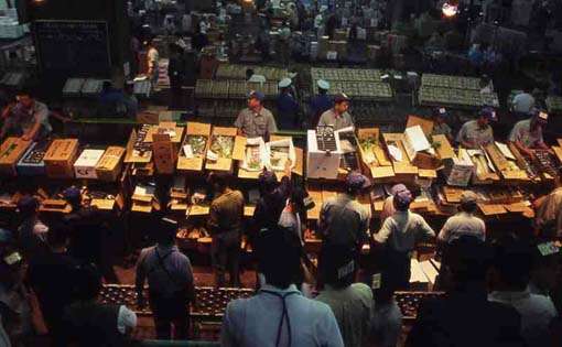 東京景點推薦｜東京自由行必去景點&一日遊行程攻略！ 