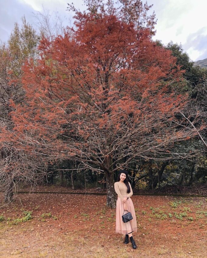清境農場門票、清境一日遊景點推薦、清境火把節/奔羊節/櫻花季全攻略 清境農場順遊景點, 奧萬大風景區, 奧萬大賞楓