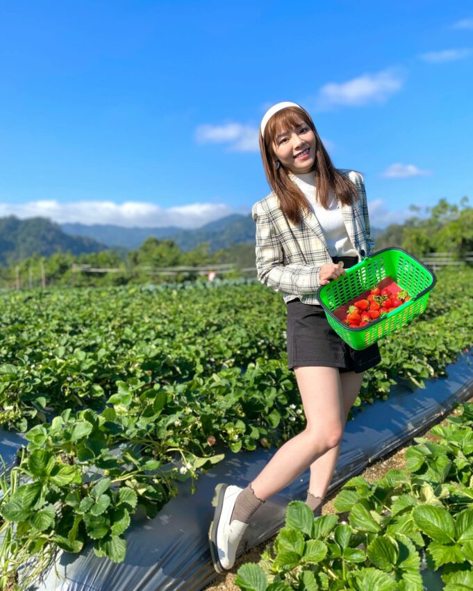 【全台採草莓推薦】每年最期待的草莓季來了！精選北中南熱門草莓園，親手採草莓最有趣！