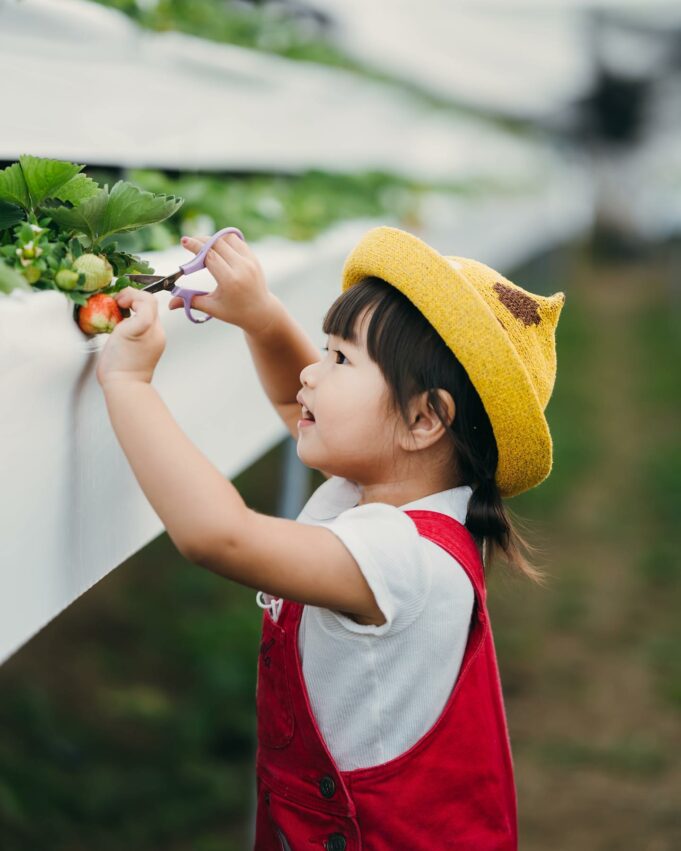 【全台採草莓推薦】每年最期待的草莓季來了！精選北中南熱門草莓園，親手採草莓最有趣！