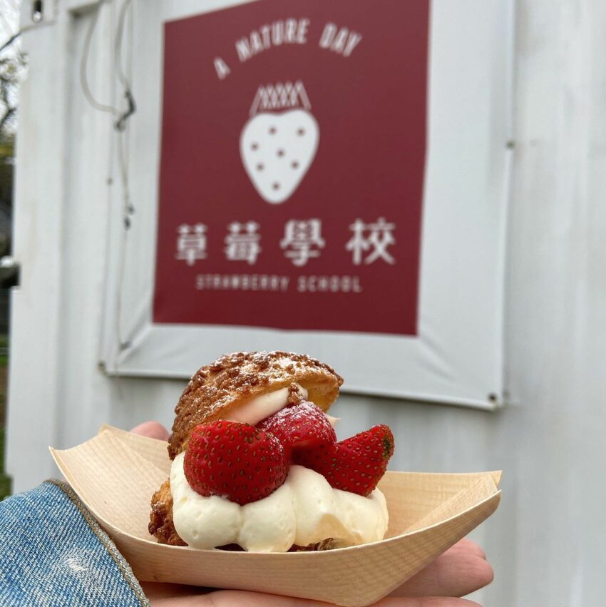 【全台採草莓推薦】每年最期待的草莓季來了！精選北中南熱門草莓園，親手採草莓最有趣！