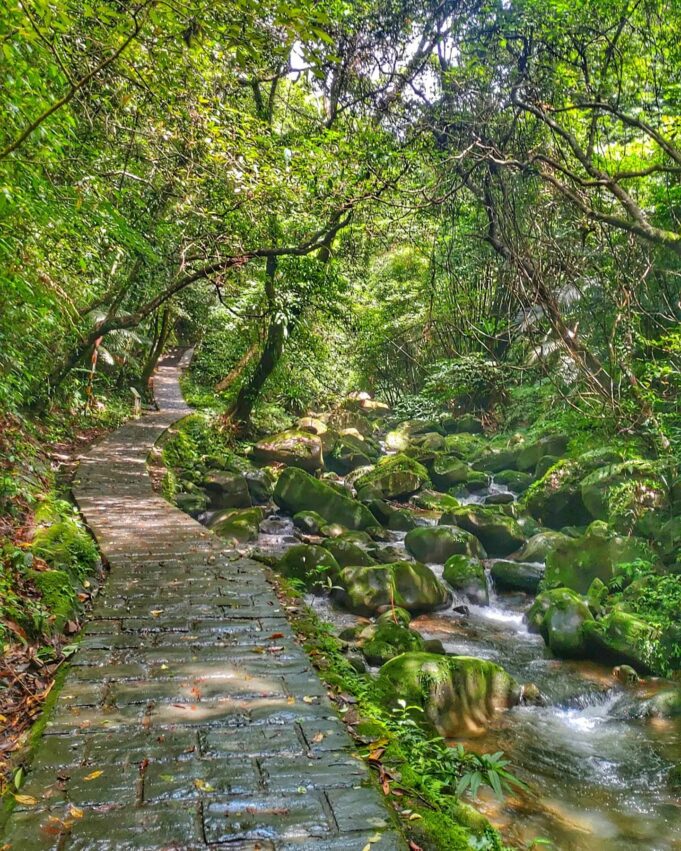 【台北景點推薦】精選100個台北活動及台北一日遊景點！台北旅遊不可錯過的台北捷運景點