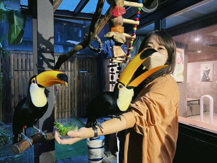 【台北景點推薦】精選100個台北活動及台北一日遊景點！台北旅遊不可錯過的台北捷運景點