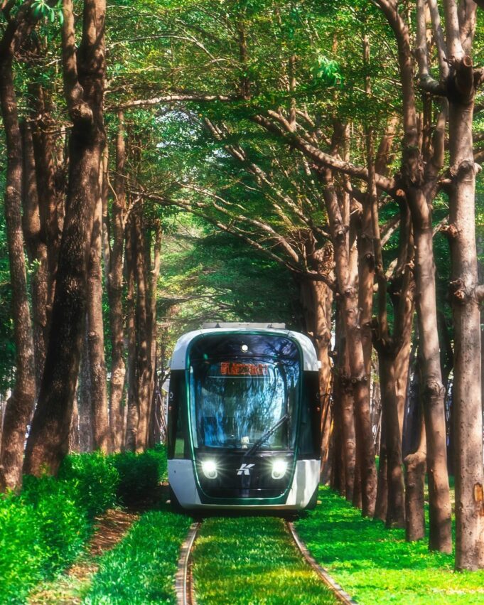 高雄戶外景點、高雄山區景點、高雄約會景點、高雄散步景點 龍貓隧道