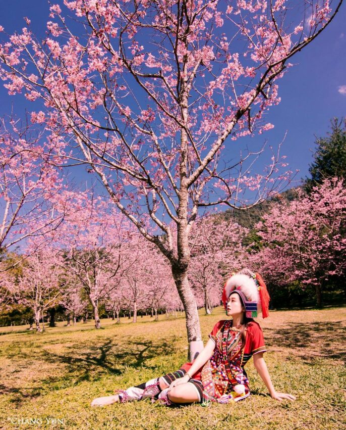 九族文化村, 原住民, 九族櫻花季, 九族原住民服飾