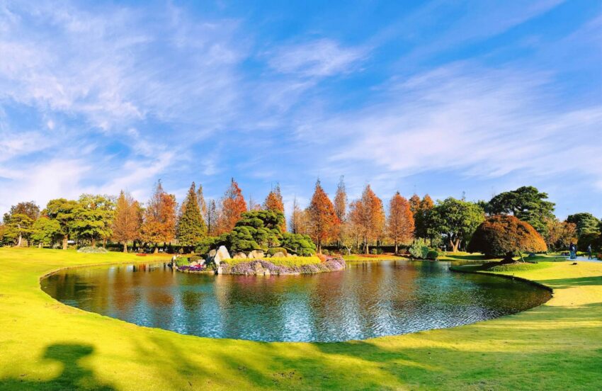 全台落羽松景點|網羅台灣落羽松秘境/落羽松大道、秋冬賞季期懶人包,快來一場唯美浪漫之旅吧! 全台落羽松景點|網羅台灣落羽松秘境/落羽松大道、秋冬賞季期懶人包,快來一場唯美浪漫之旅吧!