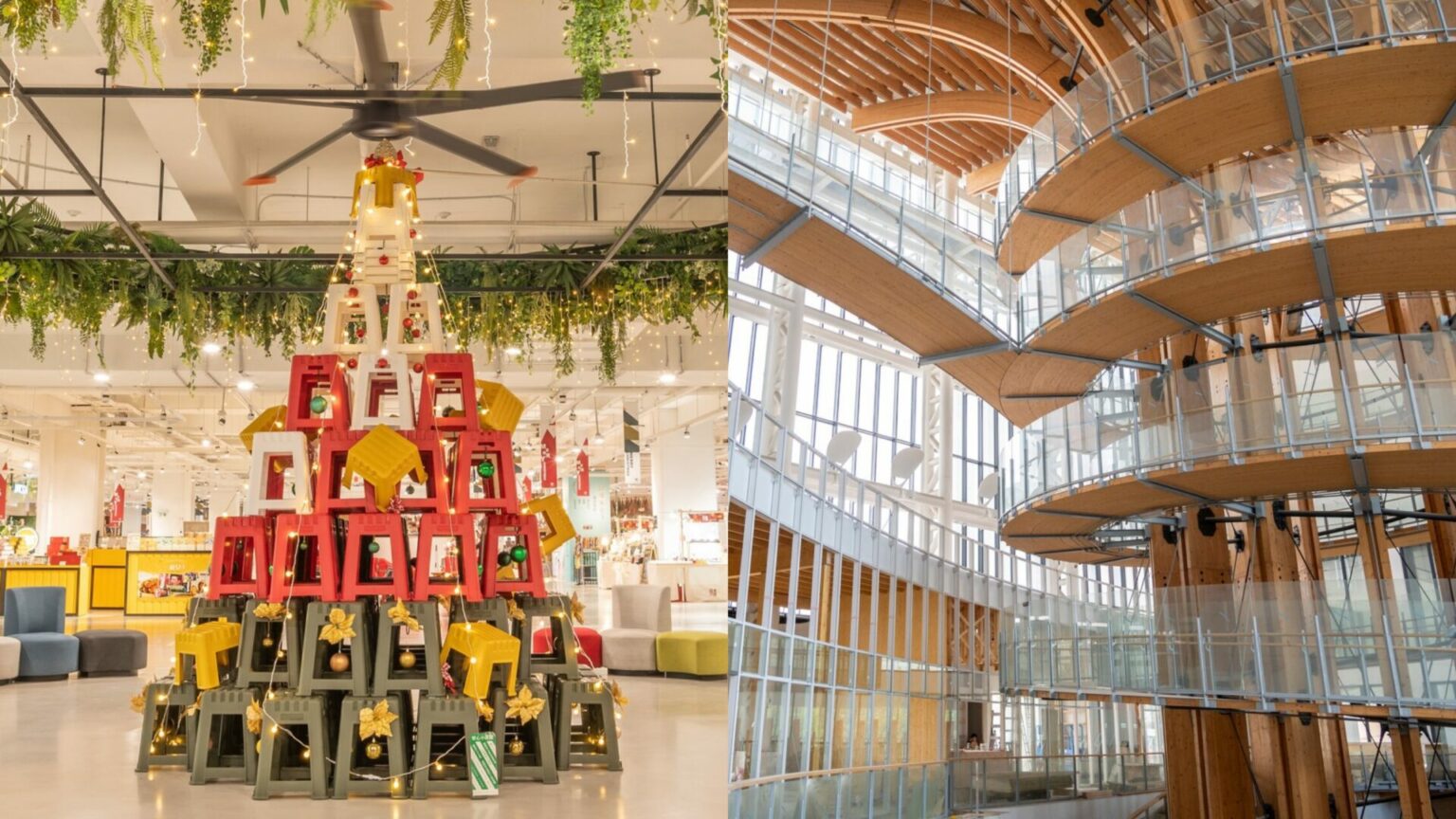 【半山夢工廠】南投一日遊景點，門票優惠，實木生命樹環樹步道、攀岩挑戰，南投觀光工廠攻略！