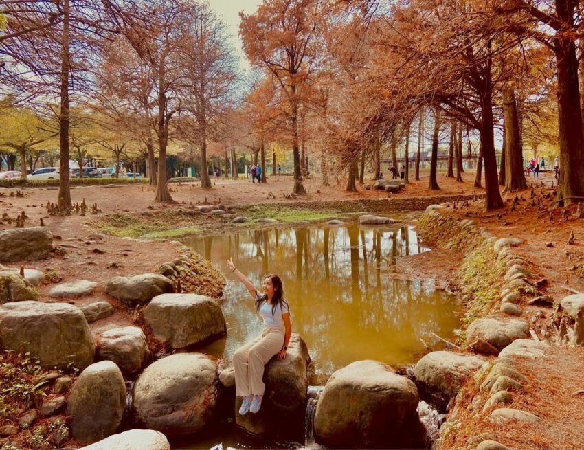 宜蘭羅東運動公園 羅東公園東丘落羽松落羽松,落羽松季節, 雲山水夢幻湖, 月眉人工濕地生態公園, 菁芳園, 落雨松, 八德落羽松, 大溪落羽松, 落羽松大道, 落羽松秘境, 三星落羽松, 蜊埤湖, 月眉落羽松, 大溪落羽松大道, 大村落羽松, 落羽松森林, 林內落羽松, 落羽松堀頭28秘境富士春, 北部落羽松, 大溪月眉濕地, 月眉濕地, 鈺展苗圃, 月眉人工濕地, 中科落羽松, 太平落羽松, 落雨松季節, 如光山寺, 落羽松變色時間, 三星落羽松秘境, 蜊埤湖畔落羽松, 羽粼落羽松, 大溪月眉人工濕地, 八德落羽松森林, 落羽松月份, 落羽松步道, 新社落羽松, 麗寶落羽松大道, 落羽松景點, 東丘落羽松, 落羽松變色月份, 九芎落羽松, 泰安落雨松, 菁芳園收費, 月眉濕地生態園區, 長庚養生村落羽松, 落羽松時間, 望龍埤落羽松, 大溪南興落羽松, 落羽松季節變化, 落羽松10月, 林內落羽松秘境, 八德落羽松大道, 新社落羽松餐廳, 蜊埤湖落羽松, 落雨松拍照, 落羽, 八德落雨松, 大溪落雨松, 冷水坑落羽松, 松之戀景觀餐廳, 安農溪落羽松季節, 三星落羽松時間, 宜蘭礁溪三層坪, 落羽松氣根, 落雨松秘境, 大溪落羽松景點, 月眉濕地落羽松, 松之恋thepines, 落羽松夢想莊園, 成美文化園落羽松, 落羽松林, 鈺展落羽松森林, 長庚養生文化村落羽松公園, 初鹿落羽松,