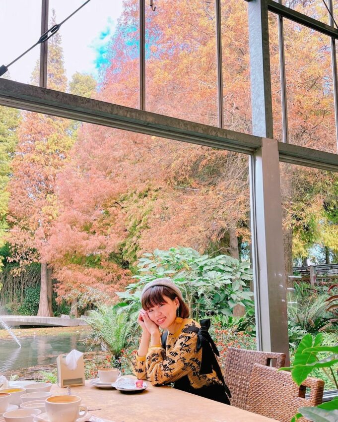 全台落羽松景點|網羅台灣落羽松秘境/落羽松大道、秋冬賞季期懶人包,快來一場唯美浪漫之旅吧! 全台落羽松景點|網羅台灣落羽松秘境/落羽松大道、秋冬賞季期懶人包,快來一場唯美浪漫之旅吧!