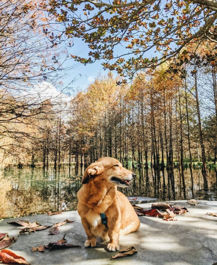 【2024旅遊補助一次看】最新花蓮旅遊補助懶人包,5/28開放申請,登記流程、加碼方案、 一次弄懂如何申請 【2024旅遊補助一次看】最新花蓮旅遊補助懶人包,5/28開放申請,登記流程、加碼方案、 一次弄懂如何申請