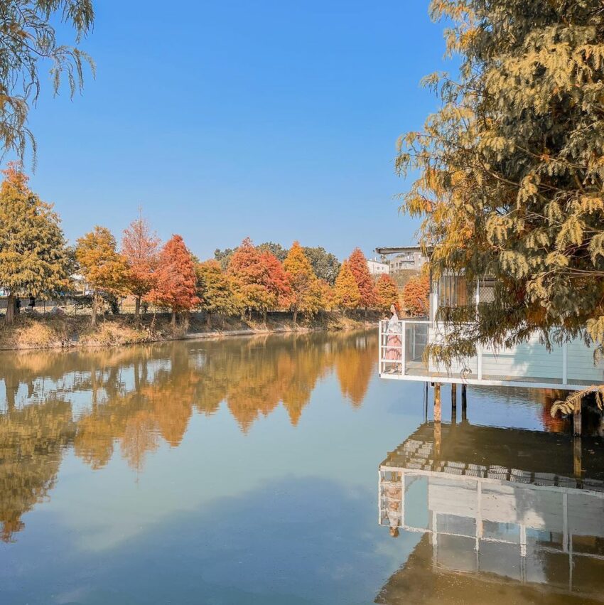 雲林迷霧松境 虎頭崁埤水庫