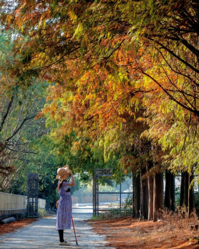 雲林林內水圳 農田水利文物陳列館