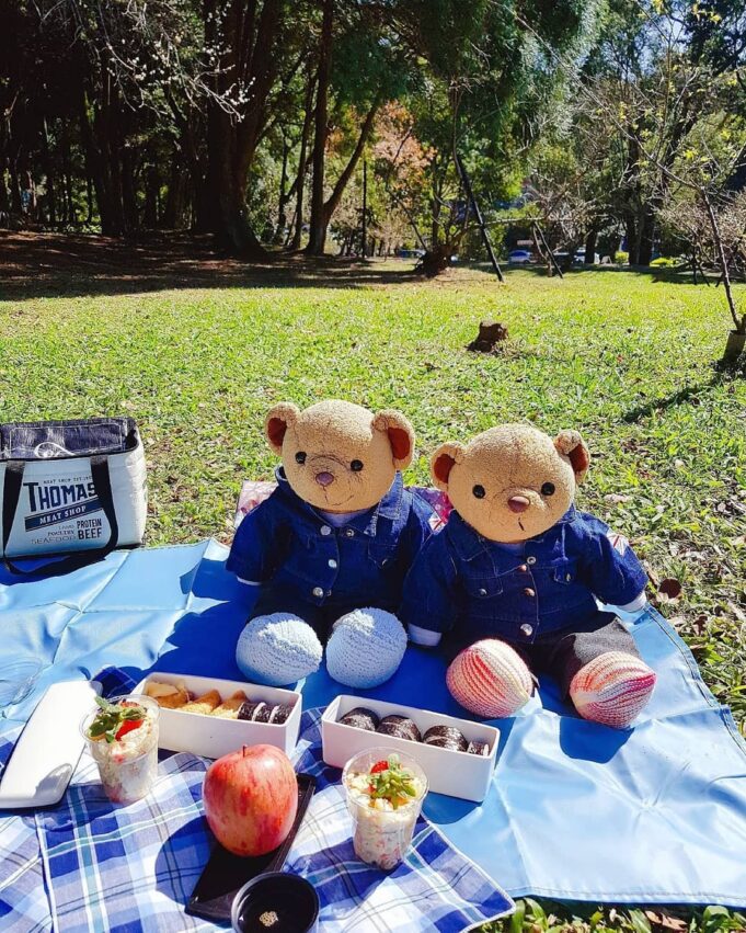 【桃園戶外景點】精選桃園戶外景點一日遊、戶外餐廳、戶外踏青的好去處！