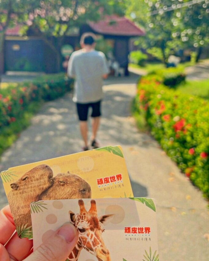 頑皮世界野生動物園門票優惠、水豚君互動體驗、遊樂設施、交通接駁車預約